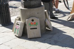 IMG_2515